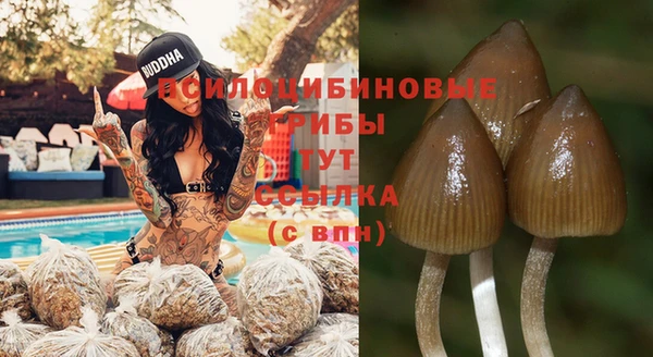 винт Зеленокумск