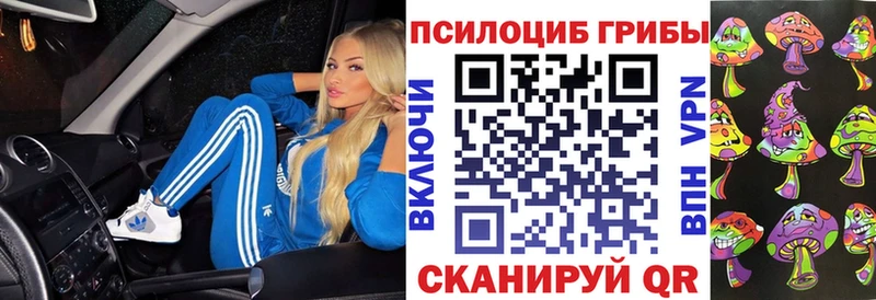 Галлюциногенные грибы MAGIC MUSHROOMS Купить где Демидов